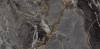 Керамогранит Onlygres Marble 71200 MOG502/PS_NC/60x120x9R/GW Dark Brown 60x120x9 фото 2