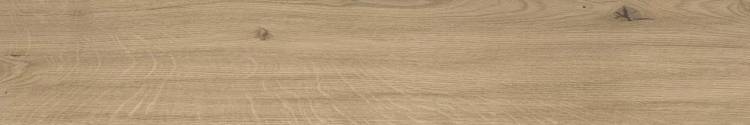 Керамогранит Atlas Concorde Log AX4L Moon Oak Forest Grip 20x120