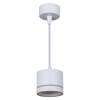Подвесной светильник Reluce 53003-0.9-001LD GX53 WT фото 4