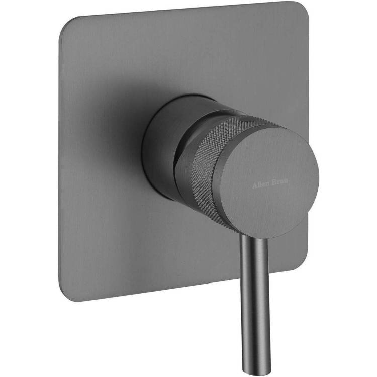 Смеситель для душа Allen Brau Priority 5.31012-MG X1 встраиваемый, брашированный графит