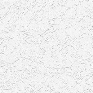 Обои виниловые Practic Vlies Band 2008-25