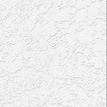 Обои виниловые Practic Vlies Band 2008-25