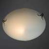 Настенный светильник Arte Lamp Plain A3720PL-1CC фото 2