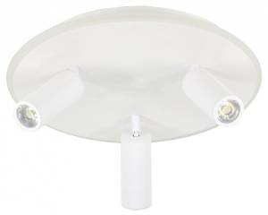 Потолочный светильник Escada 20046SMA/03LED WH