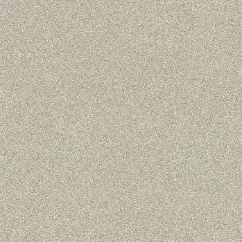 Обои Rasch Passepartout 606645