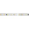 Светодиодная влагозащищенная лента Arlight 8W/m 54LED/m 5060SMD холодный белый 10M 029403(2) фото 2
