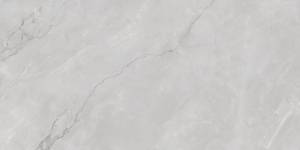 Керамогранит Infinity Ceramica Astonia Silver Glossy Silver Line 60x120