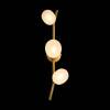 Настенный светильник Loft IT Sakura 10212W Gold фото 4