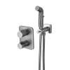 Гигиенический душ Lemark Bronx LM3740GM графит