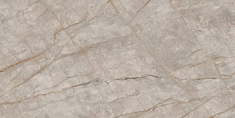 Керамогранит Atlas Concorde Russia Empire 610010002173 Silver Root Rett / Сильвер Рут Рет 80x160