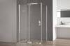 Душевой уголок Royal Bath RB HPVD-C-CH профиль хром, стекло матовое, 120x100x200