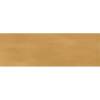 Керамогранит Ennface Camelot ENCLR6061GL722 Amber Glossy 7.5x22.5