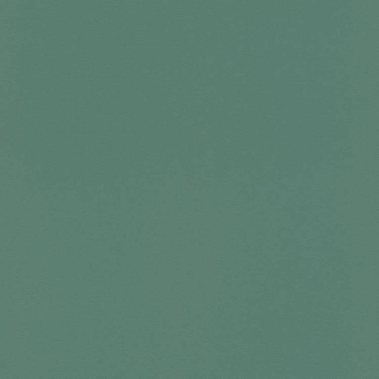 Обои Rasch Selection Vinyl/Vlies 807615