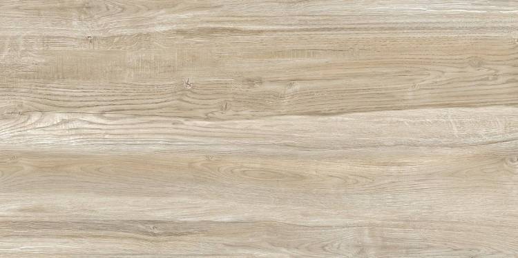 Керамическая плитка Alma Ceramica TWU09WDX404 24.9x50