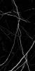 Керамогранит Italica Sensi ITL82900 Black High Glossy 60x120