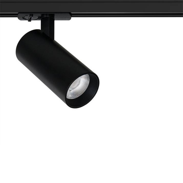 Светильник потолочный Arte Lamp Bene A1946PL-1BK