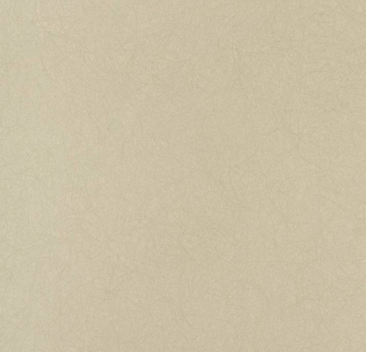 Обои флизелиновые Bernardo Bartalucci Legend 5068-68