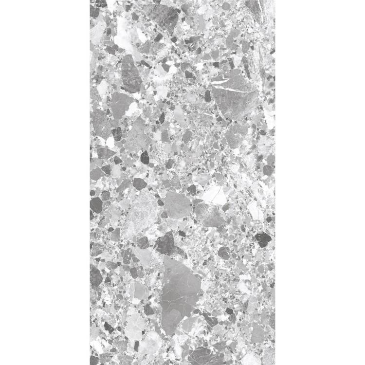 Керамогранит Arcadia Ceramica Terragona SL1004-A Silver Solido 60x120