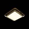 Потолочный светодиодный светильник Loft IT Mike 10171 фото 2