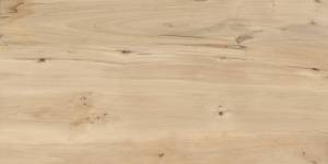 Керамогранит Buono Ceramica Forest FVL4511M Sweet Home Matt 60x120