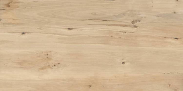 Керамогранит Buono Ceramica Forest FVL4511M Sweet Home Matt 60x120