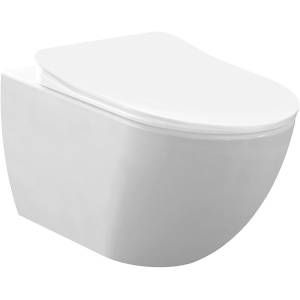 Унитаз подвесной Creavit Free FE322.00CB00E.0000 безободковый с биде