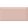 Керамическая плитка Absolut Keramika Monocolor Salmon Biselado Brillo 10x20