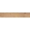 Керамогранит Atlas Concorde Log AX4H Icon Oak Forest Grip 20x120