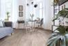 Линолеум Profi Master Havanna Oak 1_416M (рулон: 3.5x30=105 м2) фото 2
