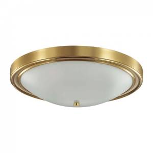 Настенно-потолочный светильник Lumion Vintage 5259/4C