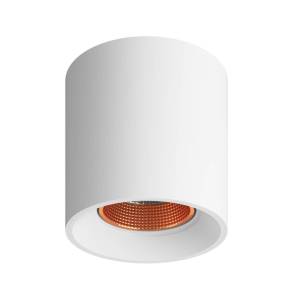 Накладной светильник Denkirs DK3020WW DK3090-WBR