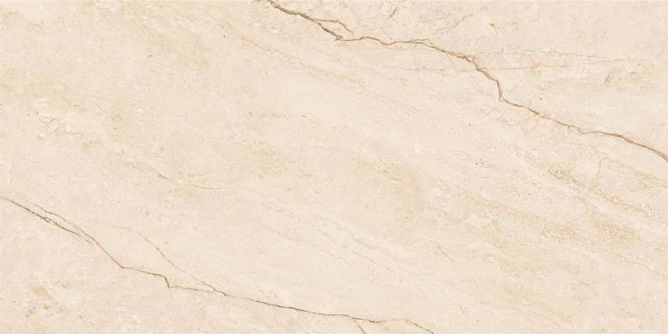 Керамогранит NT Ceramic Infinity NTTHS99956D Barcelona Beige 60x120