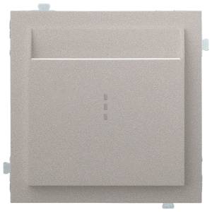 Лицевая панель для карточного выключателя Rikett 35731 PL платина