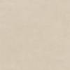 Керамогранит Artkera Group Design Art GP2020DNA11 Beige матовый 20x20 фото 11