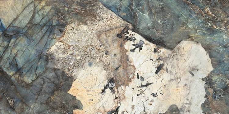 Керамогранит Tubadzin Impress Mat 59.8x119.8