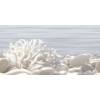 Декор Alma Ceramica Del Mare DWU09DLM624 24.9x50
