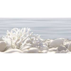 Декор Alma Ceramica Del Mare DWU09DLM624 24.9x50