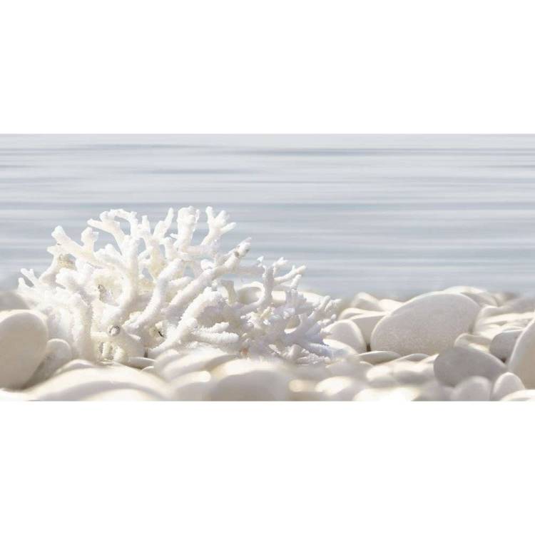 Декор Alma Ceramica Del Mare DWU09DLM624 24.9x50