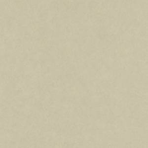 Обои Architector Plains&Textures 1430300