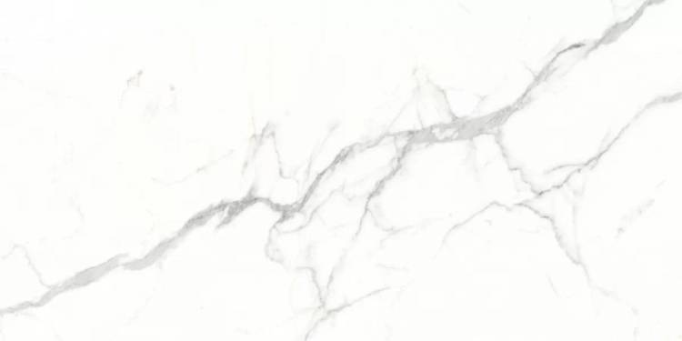 Керамогранит Dogma Project Torino DPA601216SN Antibacterial Silk Natural Rettificato 60x120