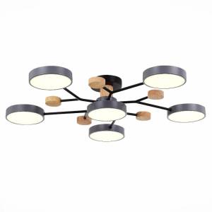 Потолочная люстра Evoluce Faema SLE6006-702-06