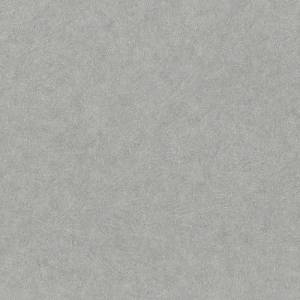Обои виниловые Rasch Factory Style 947427