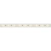 Светодиодная влагозащищенная лента Arlight 16,8W/m 120LED/m 2835SMD холодный белый 5M 029391(2) фото 3