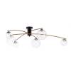 Люстра на штанге Citilux Fisher CL218163 фото 8