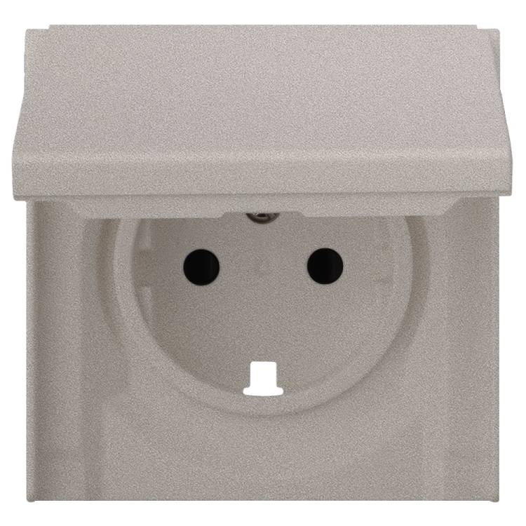 Лицевая панель для розетки 2к+з с крышкой Rikett 35634 PL платина