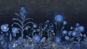 3D Фотообои Artegrafico «Композиция из полевых цветов в тёплых тонах» HRB-003 акварель