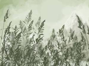 Бесшовные Eco обои Ortograf Vento 34992 Июльский день Гладь ОЕ-Р2