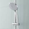 Душевой гарнитур Grohe Euphoria 110 Duo 27230001 фото 2