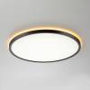 Светильник с пультом Citilux Norma CL749401 LED RGB фото 4
