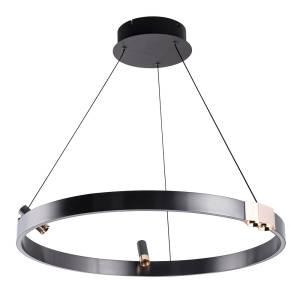 Подвесной светодиодный светильник Arte Lamp Cesare A1993SP-30BK